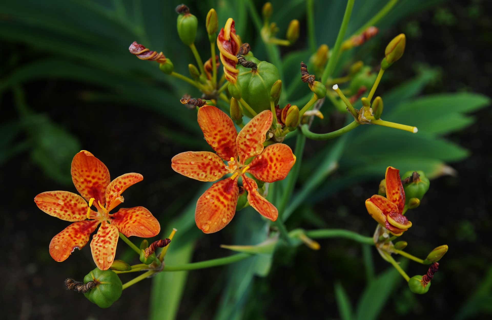 Изображение10